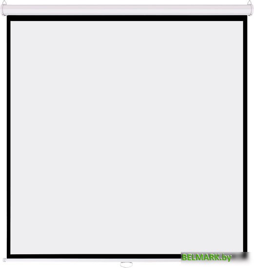 Проекционный экран PL Magna MWM-NTSC-120D - фото