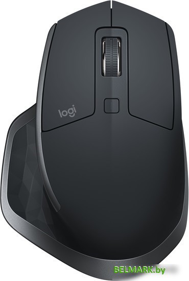 Мышь Logitech MX Master 2S (графит) [910-005139] - фото