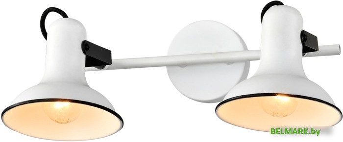 Спот Lussole Fargo LSP-8802 - фото