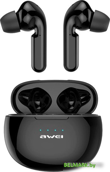 Наушники Awei T15 (черный) - фото