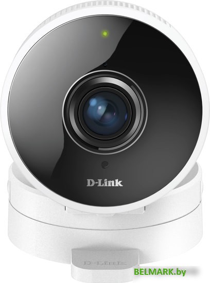 IP-камера D-Link DCS-8100LH/A1A - фото2