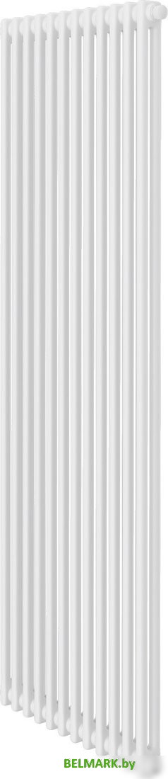 Стальной трубчатый радиатор Royal Thermo Insignia VC2180 - 12 секций RAL9016 - фото