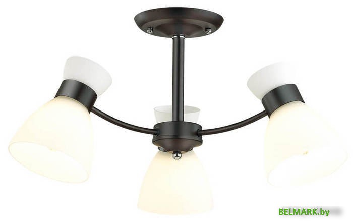 Припотолочная люстра Lumion Wilma 4534/3C - фото