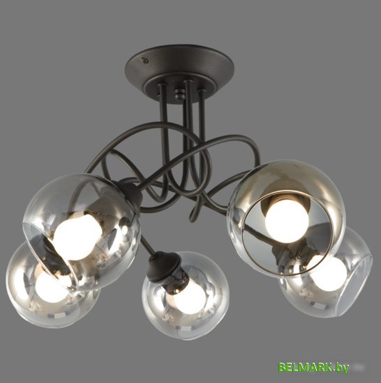 Люстра средней высоты Vitaluce V4309-1/5PL - фото2