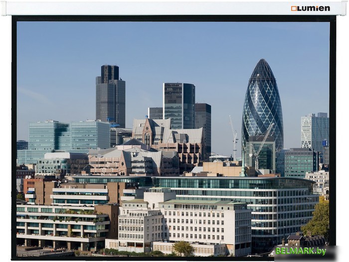 Проекционный экран Lumien Master Control 244x244 (LMC-100105) - фото