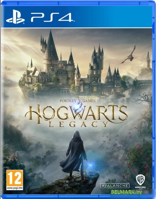 Hogwarts Legacy для PlayStation 4 - фото