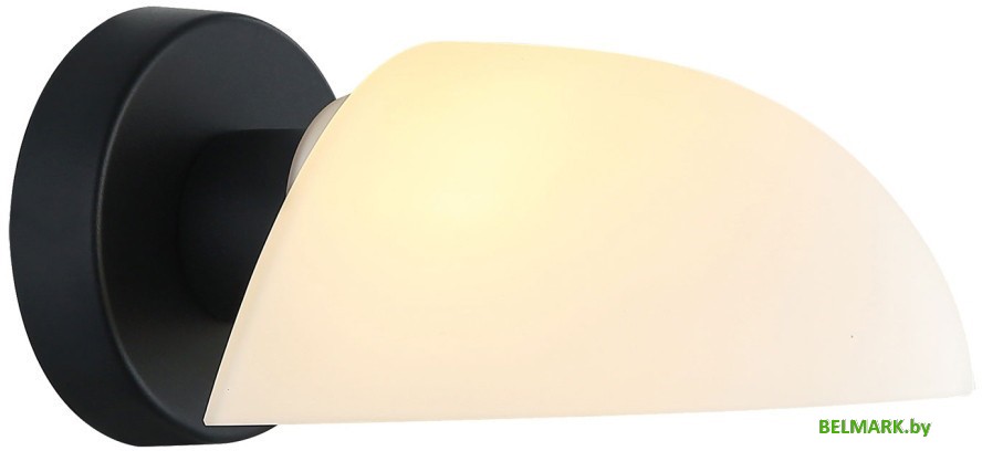 Бра Lussole Carter LSP-8862 - фото