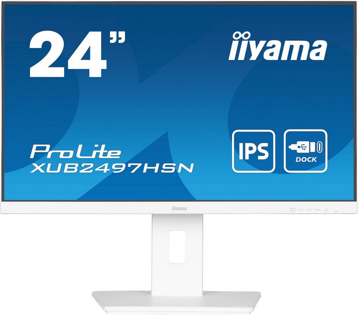 Монитор Iiyama ProLite XUB2497HSN-W1 - фото