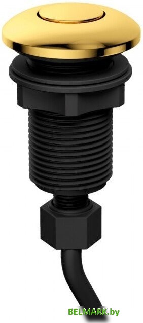Пневматическая кнопка ZorG Gold PK G - фото2