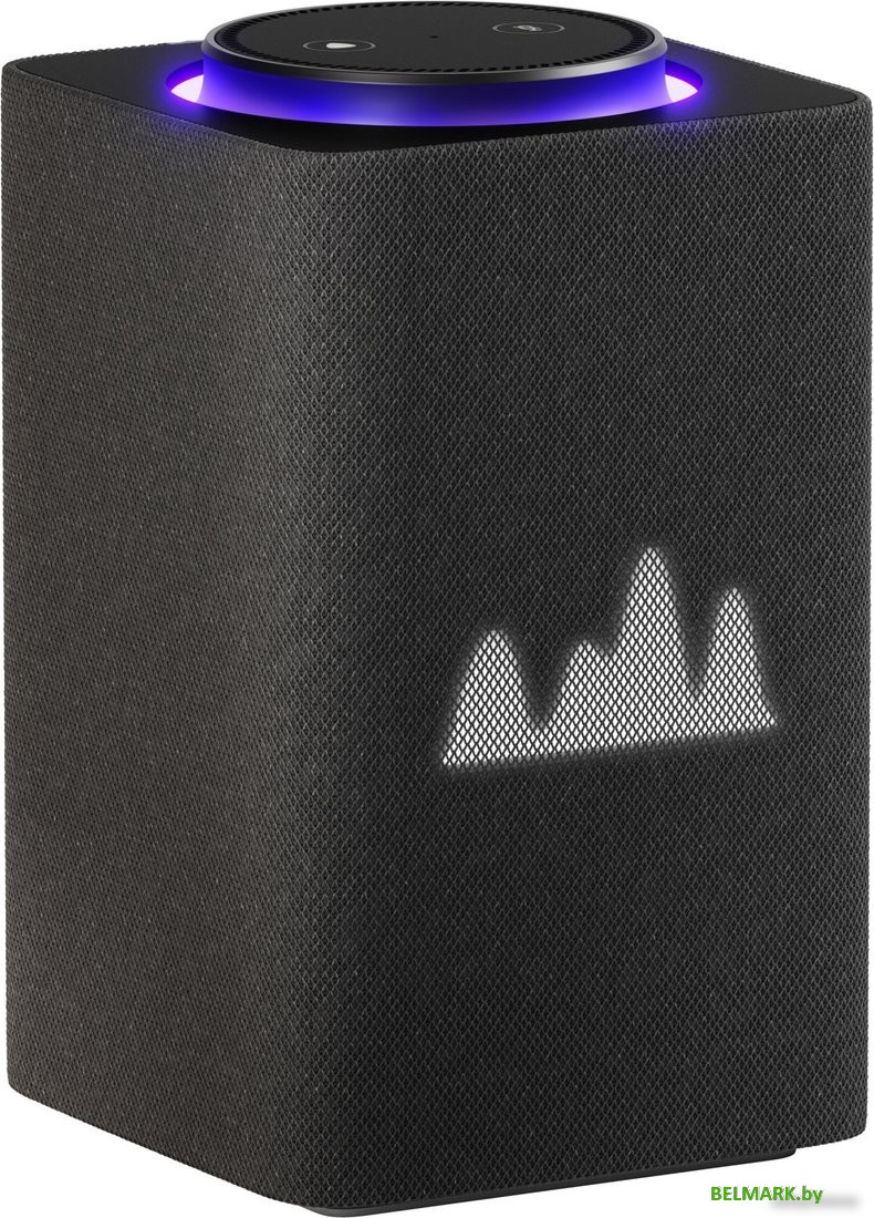 Умная колонка Яндекс Станция Макс (с хабом умного дома Zigbee, графит) - фото