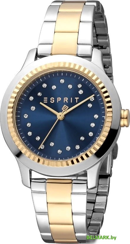 Наручные часы Esprit ES1L351M0125 - фото