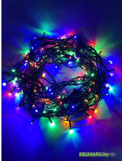 Удлинитель для гирлянд ЭРА ERABL-L100/S20 - фото2