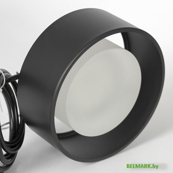 Подвесная люстра Lussole Lewisville LSP-7101 - фото2