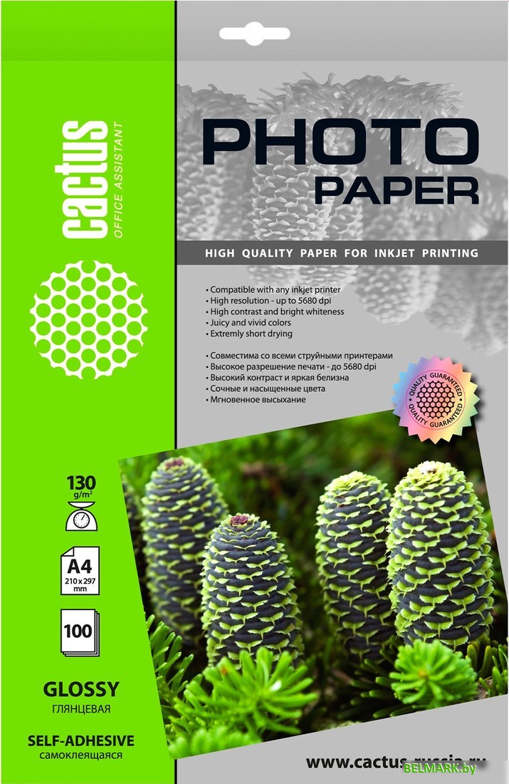 Самоклеящаяся бумага CACTUS Глянцевая A4 130 г/м2 100 л CS-GSA4130100 - фото