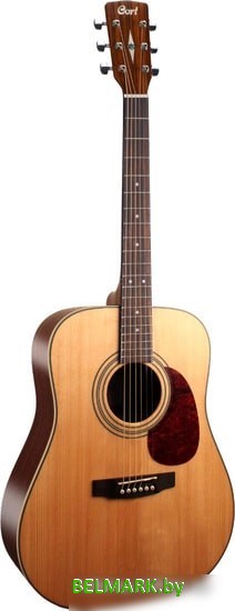 Акустическая гитара Cort Earth70 OP - фото