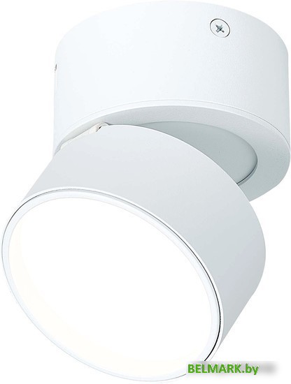 Припотолочная люстра ST Luce ST651.542.09 - фото