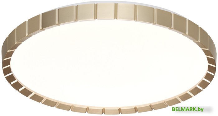 Припотолочная люстра Sonex Pale 7648/EL - фото