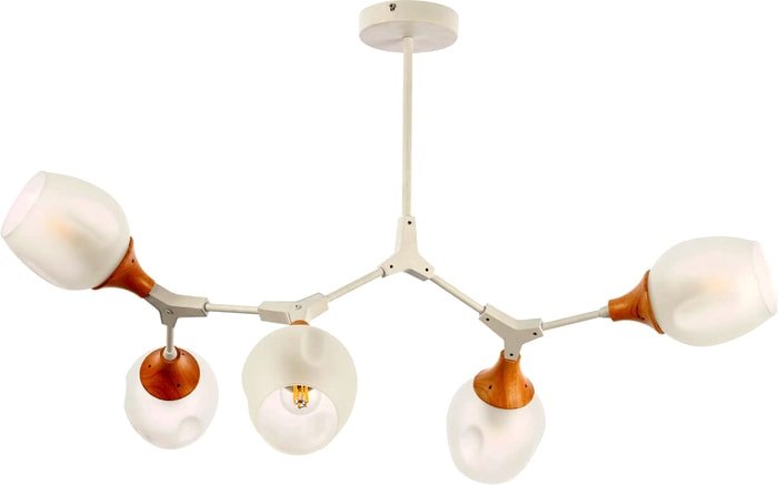 Люстра средней высоты Evoluce Ciotolla SLE113502-05 - фото