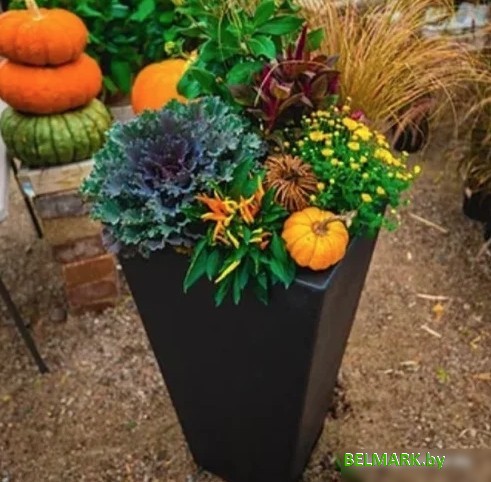 Вазон Multy Home Sonata EU5100006 (черный сланец) - фото2