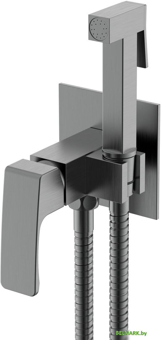 Гигиенический душ Raglo R01.52.09 - фото