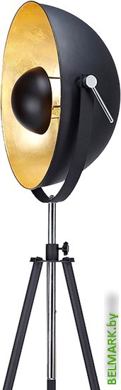 Торшер Lussole Loft GRLSP-9824 - фото