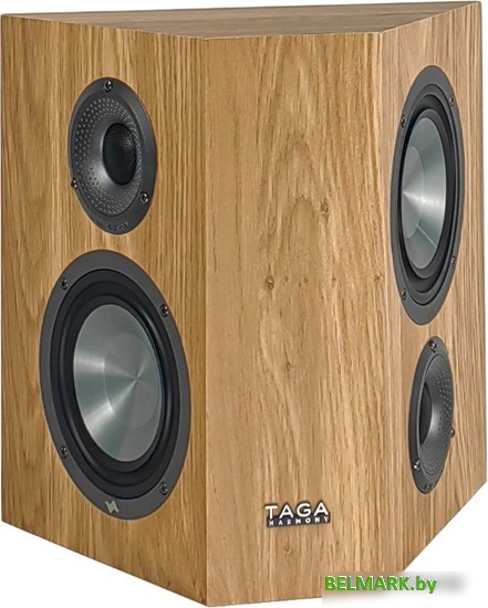 Настенная акустика Taga Harmony Platinum S-100 v.4 (дуб) - фото