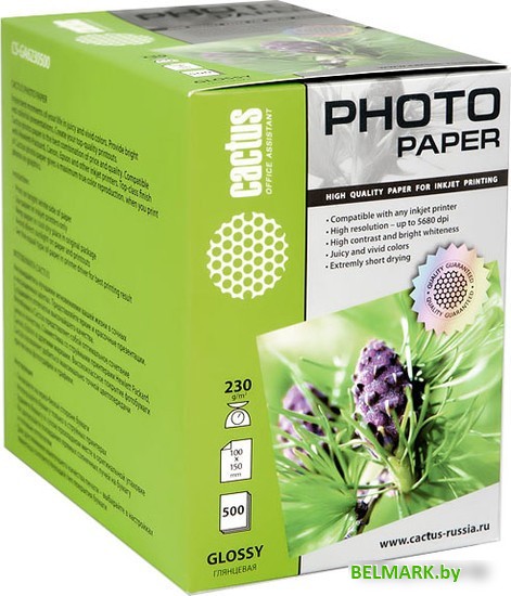 Фотобумага CACTUS Глянцевая A6 230 г/кв.м. 500 листов (CS-GA6230500) - фото