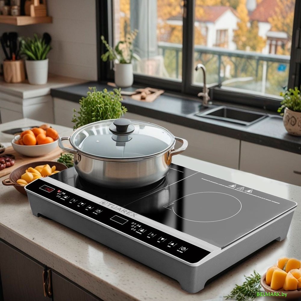 Настольная плита Tuarex TK-2731 - фото2