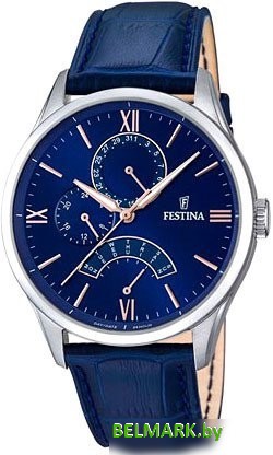 Наручные часы Festina F16823-3 - фото
