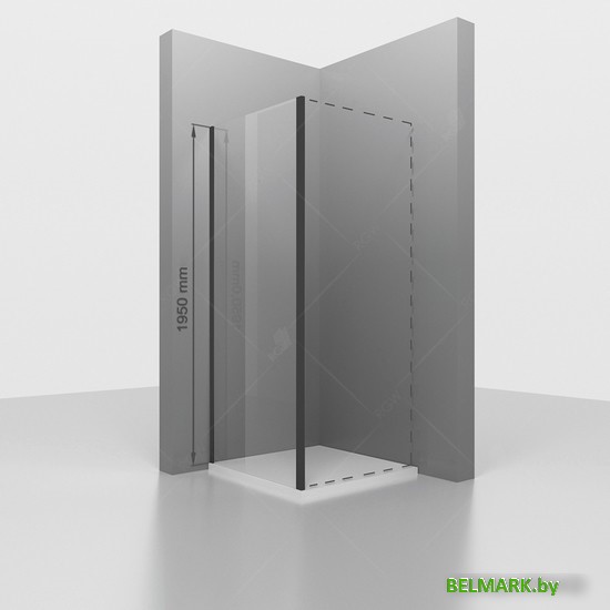 Душевая стенка RGW Z-050-2B 352205208-24 - фото