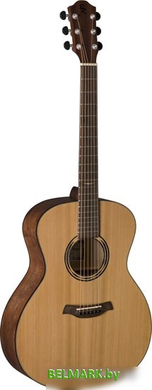 Акустическая гитара Baton Rouge AR21C/A - фото