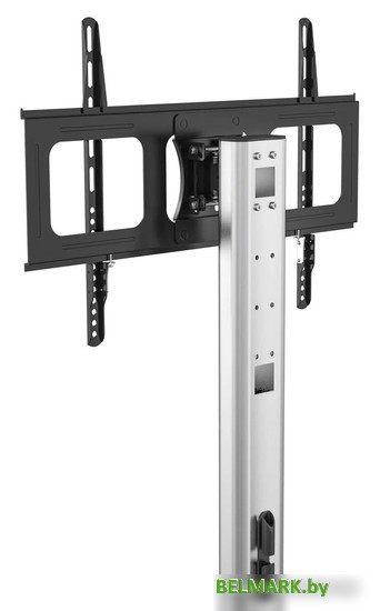 Кронштейн CACTUS CS-VM-ST97-D - фото2