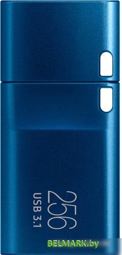 USB Flash Samsung USB-C 3.1 2022 256GB (синий) - фото