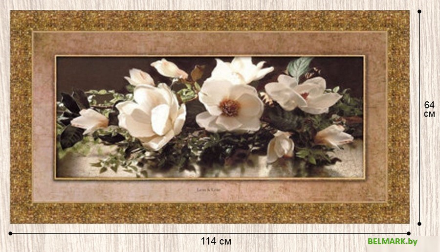 Картина Декарт 8Л1457 (в раме) - фото