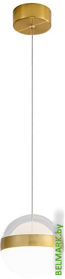 Подвесная люстра Odeon Light Roni 5036/12L - фото2