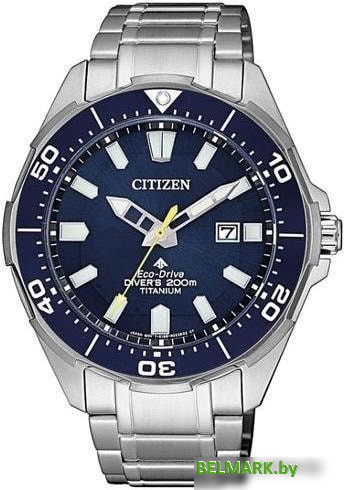 Наручные часы Citizen BN0201-88L - фото