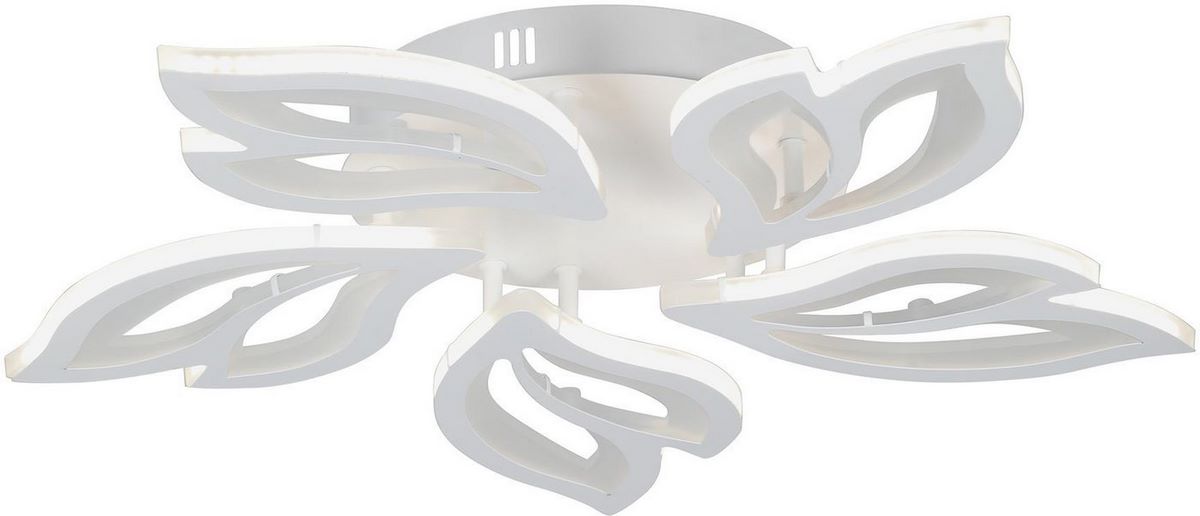 Vitaluce V3893-0/5PL - фото2