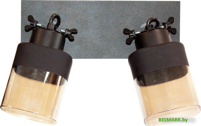 Спот Элетех Марш 121 НПБ 01-2х60-140 Е27 1005404968 (черный муар) - фото