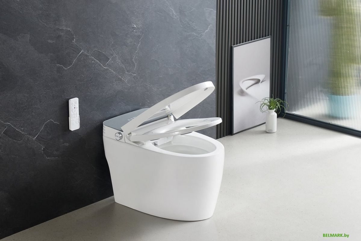 Унитаз приставной Roxen Smart Simple 670310-02 - фото2