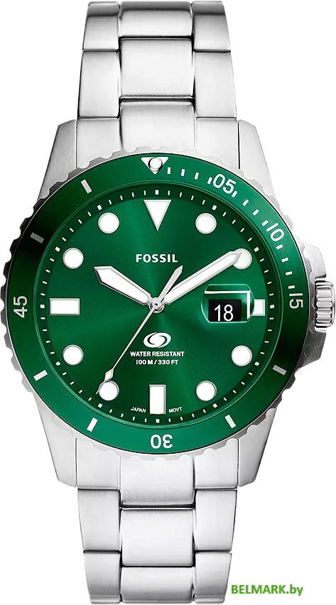 Наручные часы Fossil FS6033 - фото