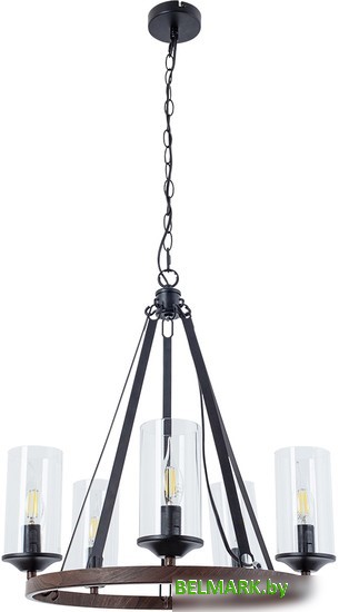 Подвесная люстра Arte Lamp Dalim A7014SP-5BK - фото