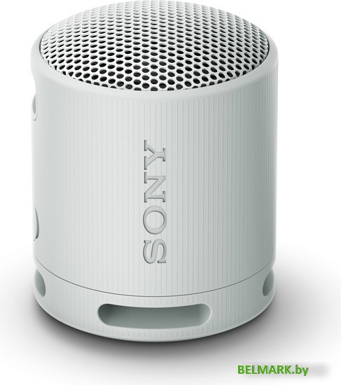 Беспроводная колонка Sony XB100 (светло-серый) - фото