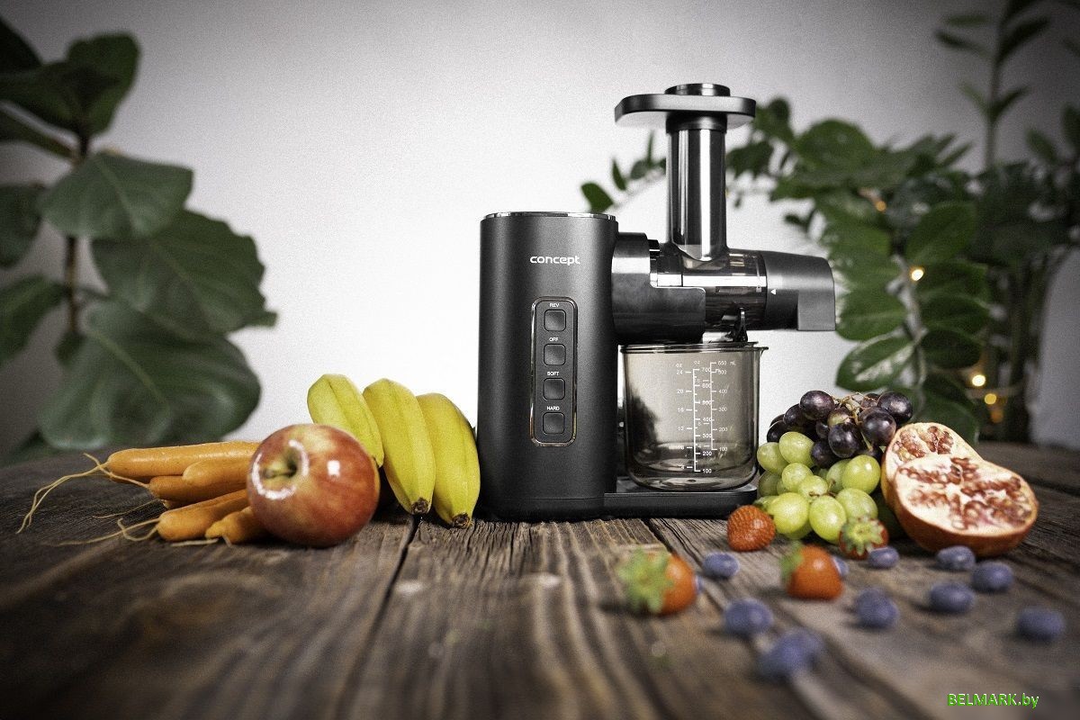 Соковыжималка Concept LO3000 - фото2