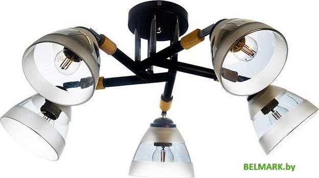 Подвесная люстра Aitin Pro НПБ 02-5х60-101 C1315/5 (черный) - фото