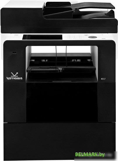 МФУ Катюша M247e - фото