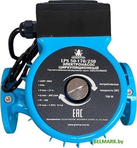 Циркуляционный насос Greenpump LPS 50-170/250 - фото