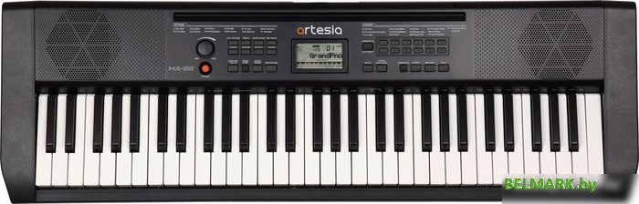 Синтезатор Artesia MA-88 - фото