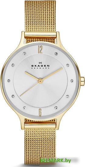 Наручные часы Skagen SKW2150 - фото
