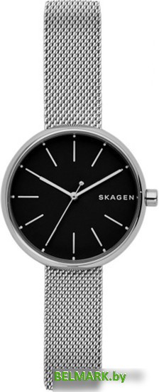 Наручные часы Skagen SKW2596 - фото