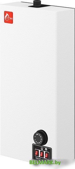 Отопительный котел СТЭН ЭВПМ - 9 - фото